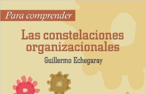 Las constelaciones organizacionales